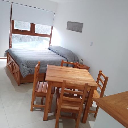 Departamento Centrico Krenn Apartment Ушуая Екстериор снимка
