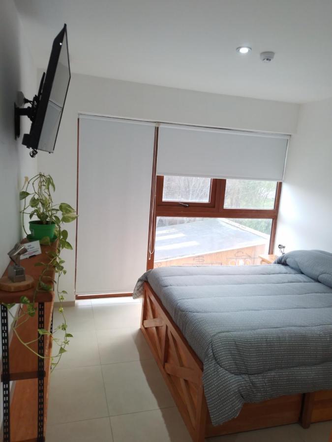 Departamento Centrico Krenn Apartment Ушуая Екстериор снимка